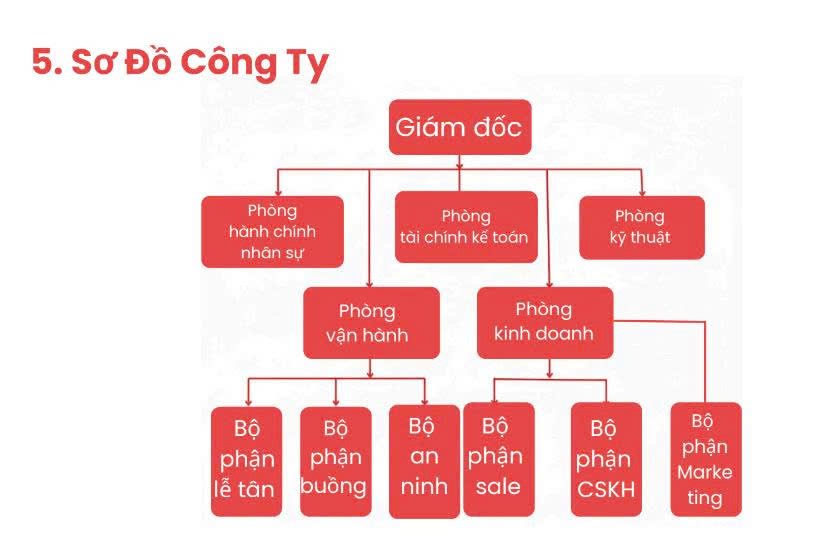 Sơ đồ công ty
